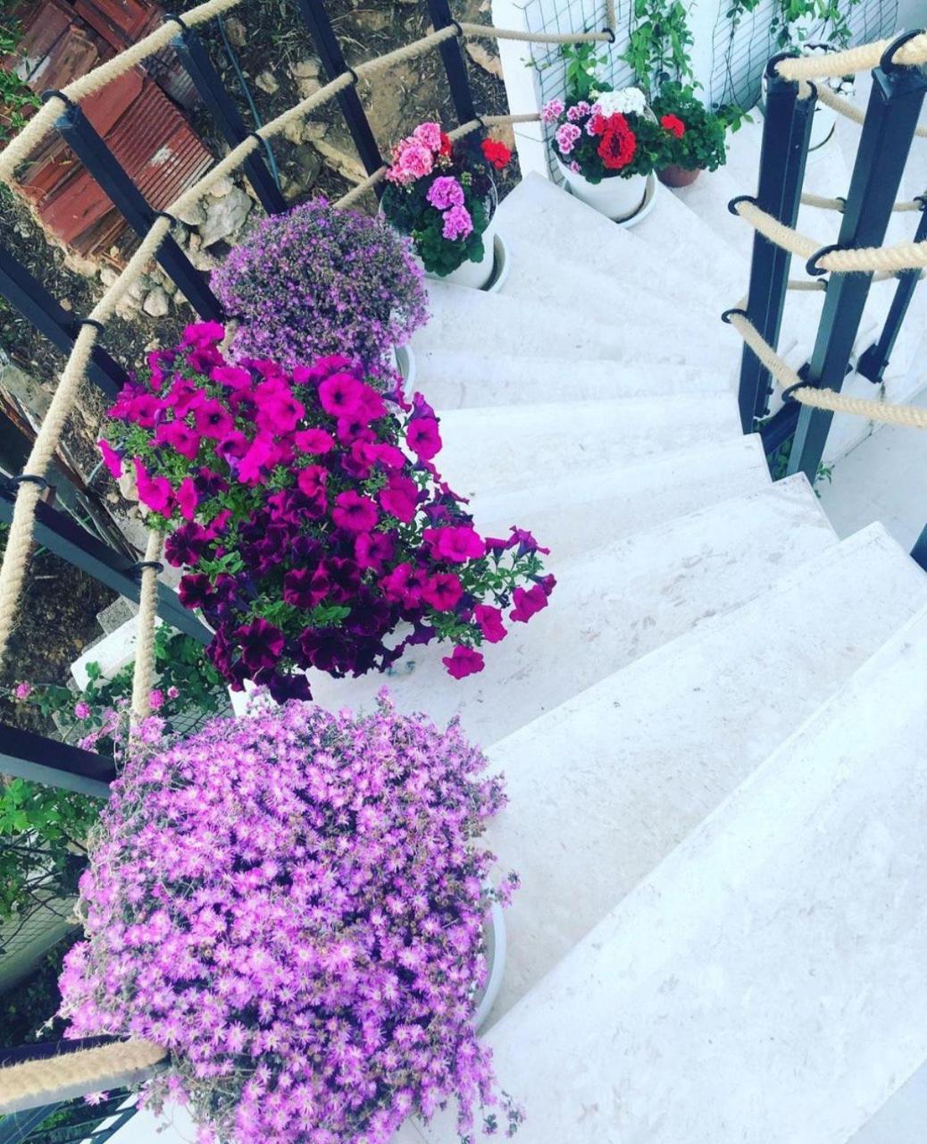 Villabijela21 Ulcinj Kültér fotó