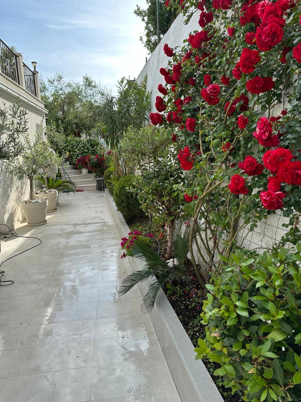 Villabijela21 Ulcinj Kültér fotó